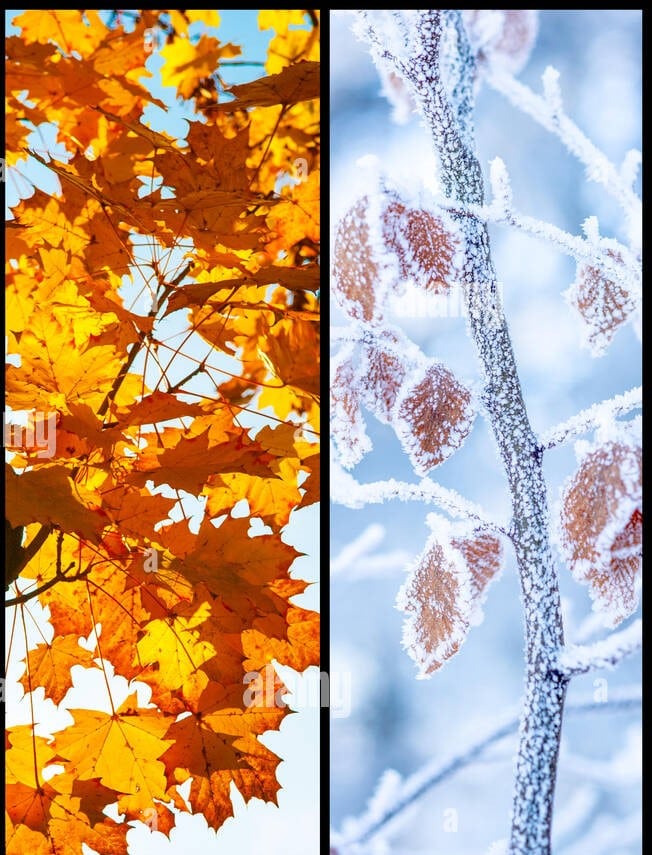 Scopri di più sull'articolo Autunno o Inverno… ecco le nostre proposte per ogni tuo evento