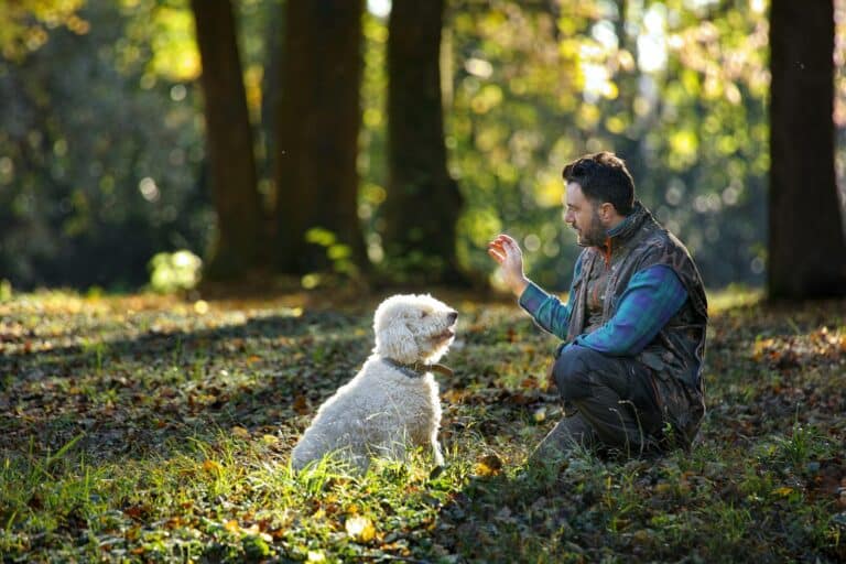 Scopri di più sull'articolo Alla scoperta del Tartufo: escursione nel bosco e pranzo al ristorante… contattaci per info e prezzi