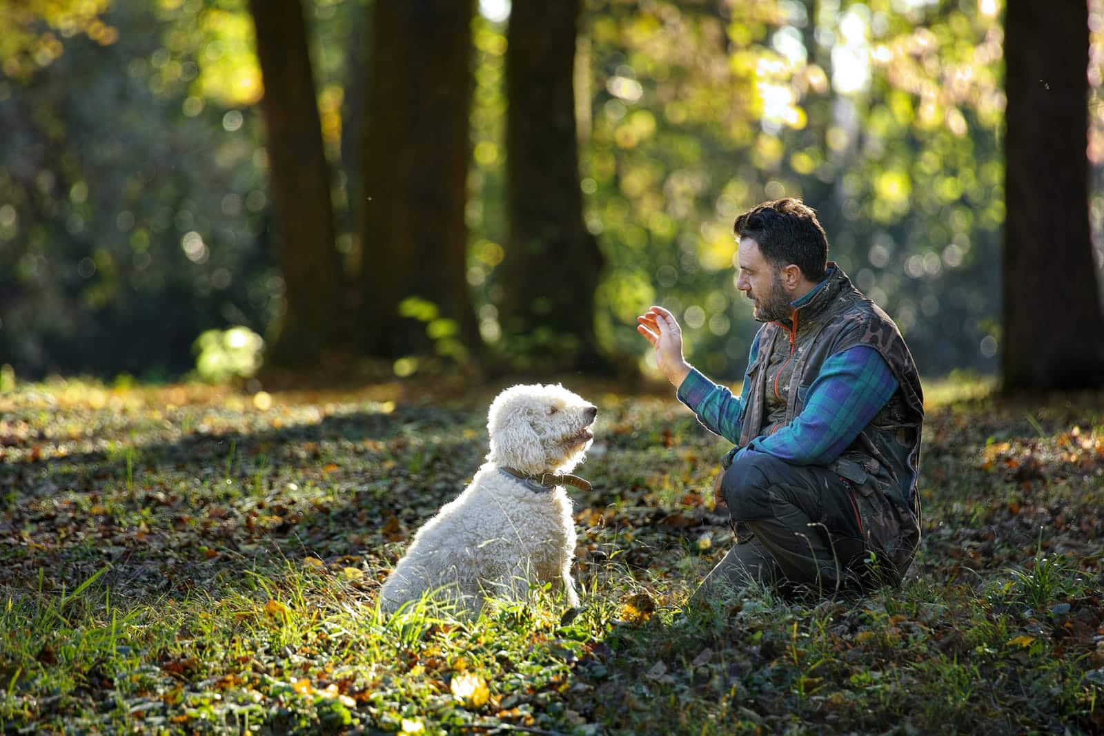 Al momento stai visualizzando Alla scoperta del Tartufo: escursione nel bosco e pranzo al ristorante… contattaci per info e prezzi
